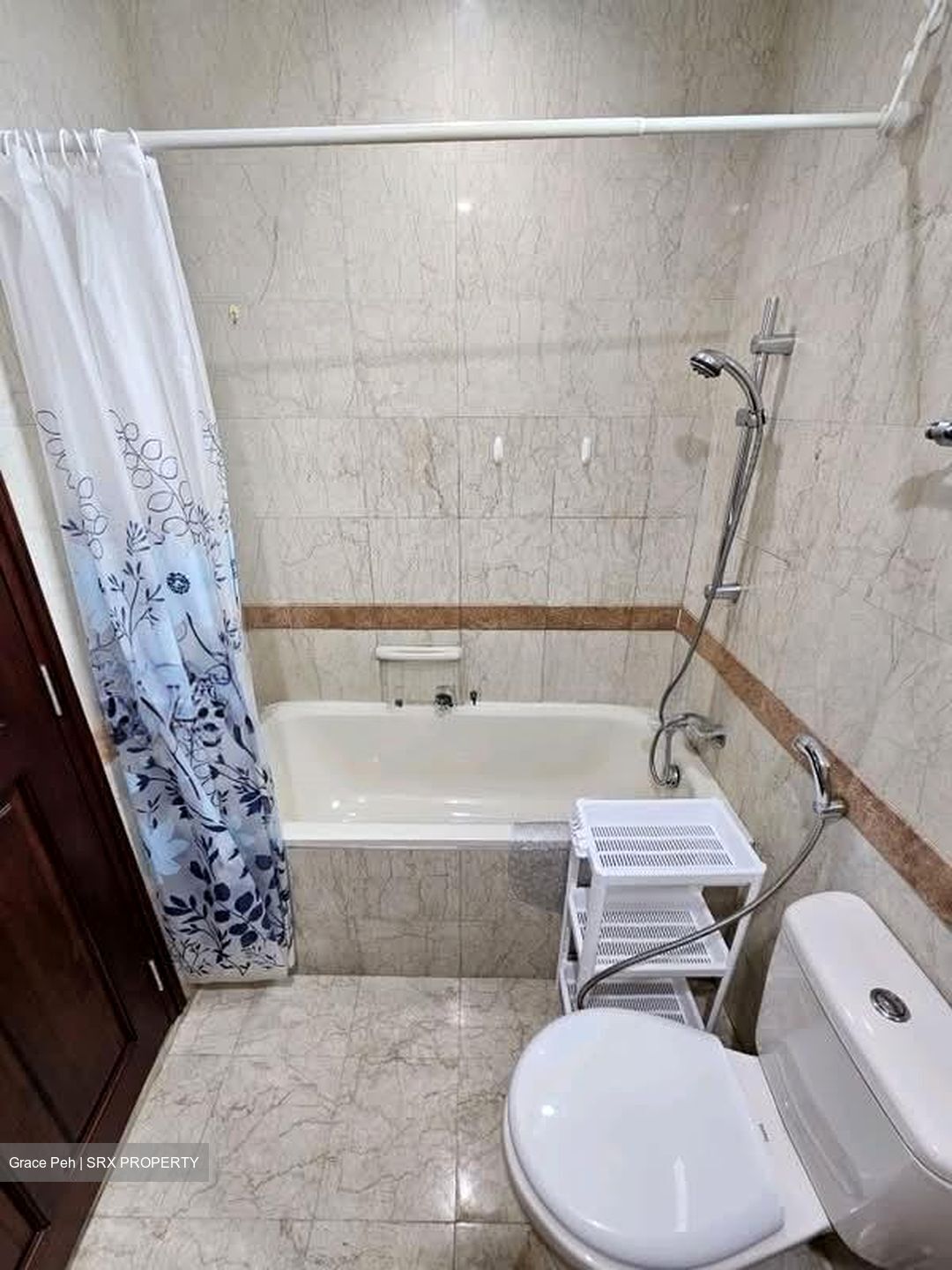 Tanglin Regency (D10), Condominium #557096411